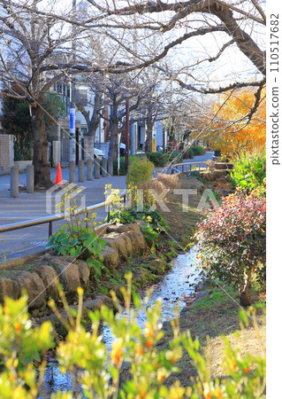 北澤河綠道 世田谷區 110517682