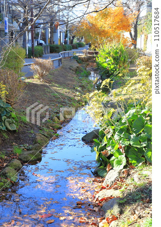 Kitazawa River Greenway Setagaya Ward Kitazawa River Greenway Setagaya Ward 110517684
