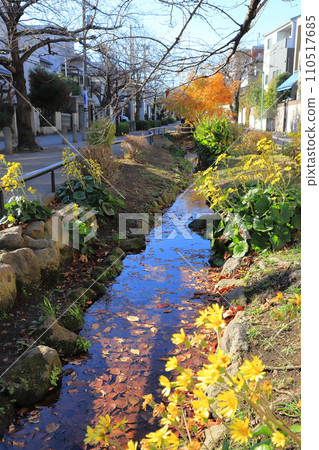 Kitazawa River Greenway Setagaya Ward 110517685