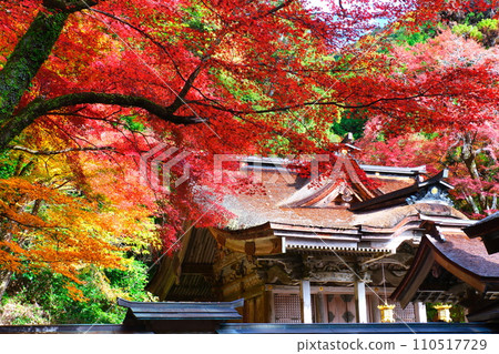 Oyada Shrine Momiji Valley 110517729