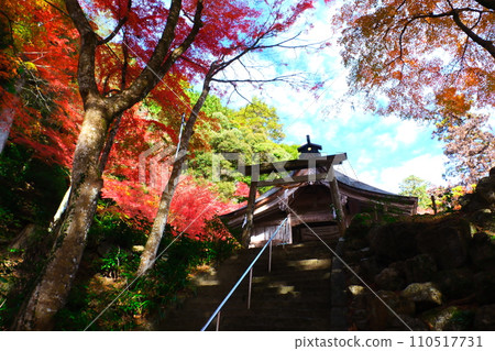 Oyada Shrine Momiji Valley Oyada Shrine Momiji Valley 110517731