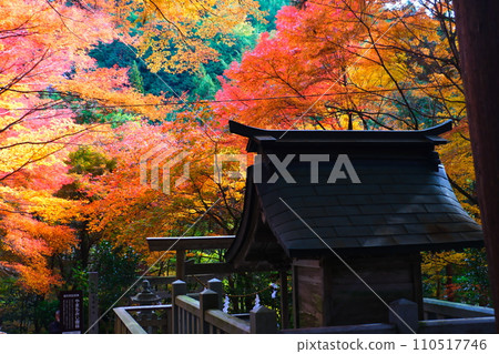 Oyada Shrine Momiji Valley Oyada Shrine Momiji Valley 110517746