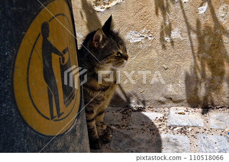 Malta St. Julian's Spinola Bay Cat 110518066