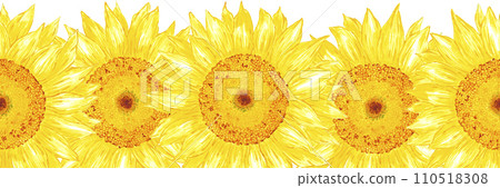 Hand drawn watercolor yellow sunflower seamless border isolated on white background. Can be used for label, tape, decoration and other printed products. 110518308