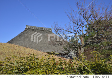 藍天和小偷屋頂 110518511