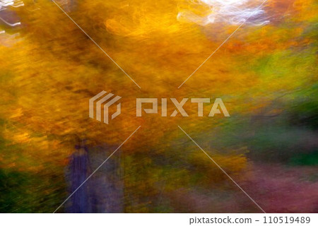 Abstract icm bright autumn foliage fall colors soft nature background 110519489