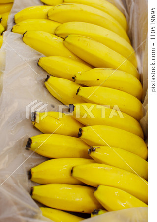 Lots of banana branches in a cardboard box for sale. 110519695
