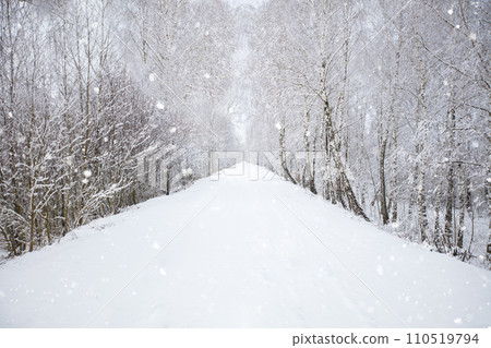 Winter snowy road and forest. Nature in winter. 110519794