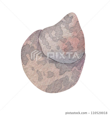 watercolor illustration of sea shells, hand drawn on a white background. Pearlescent delicate shades. marine theme, underwater elements 110520018