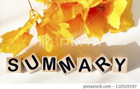 SUMMARY word written on a wooden block on a white background 110520597