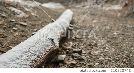 Trunk of an old tree covered with snow on a mountain path, concept advertising campaign banner or product mockup Trunk of an old tree covered with snow on a mountain path, concept advertising campaign banner or product mockup 110520748