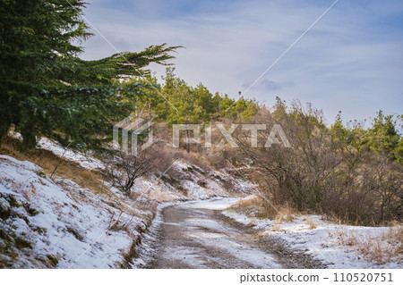 Winter road in the foothills covered with the first snow, mountain forest concept banner with advertising campaign concept or product mockup 110520751