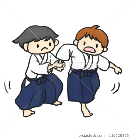 boy doing aikido 110520805
