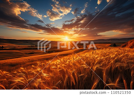 Wheat field. Ears of golden wheat close up. Beautiful Rural Scenery sunset and blue sky. Background of ripening ears of meadow wheat field. Generative AI 110521350