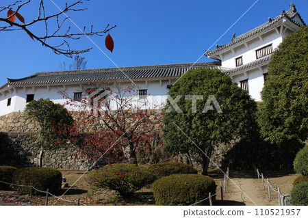 兵庫姬路 清澈的藍天與姬路城西之丸花園 110521957