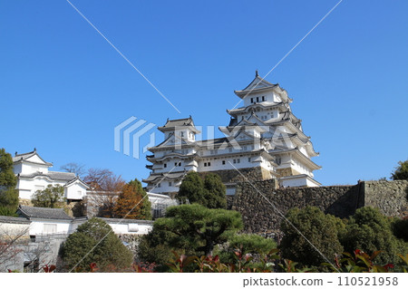 兵庫縣,姬路,晴朗的藍天和姬路城,從西之丸花園 兵庫縣,姬路,晴朗的藍天和姬路城,從西之丸花園 110521958