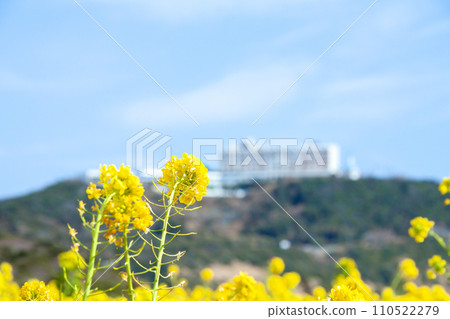 Hotel at Cape Irago where rape blossoms bloom Hotel at Cape Irago where rape blossoms bloom 110522279