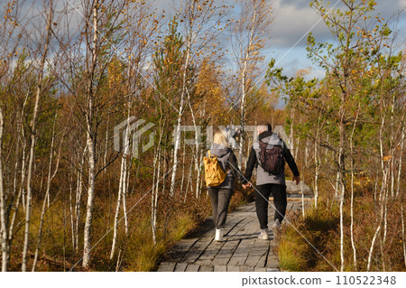 Two tourists walk along a wooden path in a swamp in Yelnya, Belarus 110522348