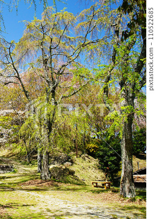 奈良吉野山櫻 奈良吉野山櫻 110522685