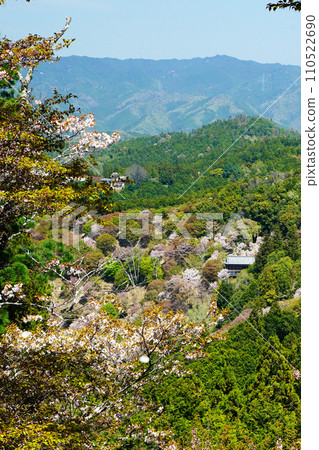 奈良吉野山櫻 奈良吉野山櫻 110522690