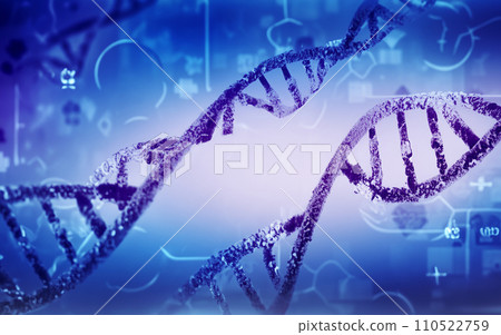 Gene image DNA image Gene image DNA image 110522759