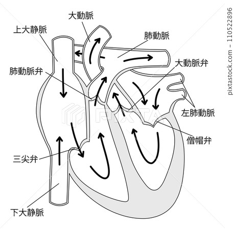 心截面4黑白 110522896