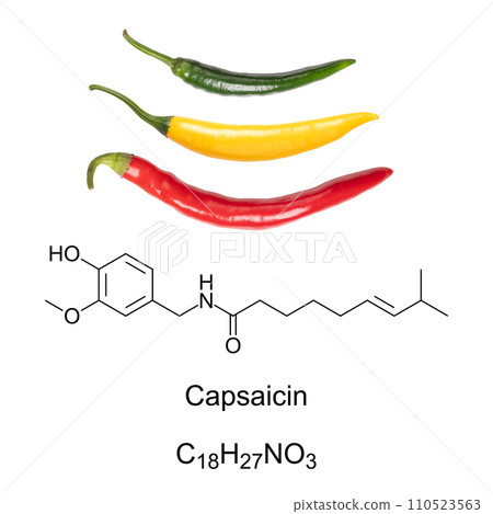 Cayenne chili peppers, and capsaicin chemical formula and structure. Capsaicin is the active component and chemical irritant in chili peppers, and as spice in food it provides spiciness and piquancy.  110523563
