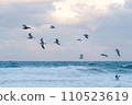 海鷗飛過海在黃昏 110523619