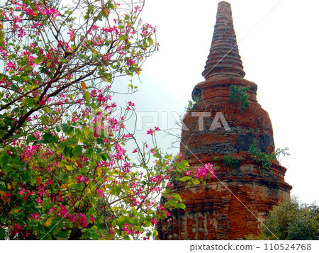 Thailand, Ayutthaya ruins, Wat Ratchaburana Thailand, Ayutthaya ruins, Wat Ratchaburana 110524768