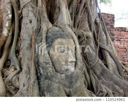 Thailand, Ayutthaya ruins, Wat Phra Mahathat 110524961
