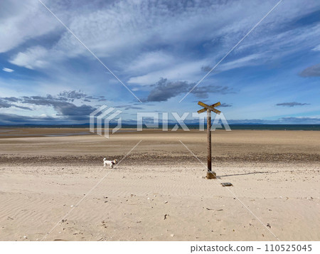 Old rusty sign and lonely dog Old rusty sign and lonely dog 110525045