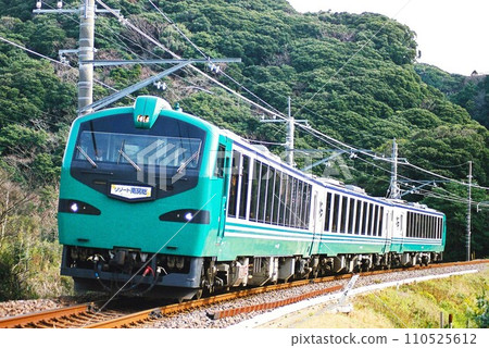 外房線臨時快速度假村南房總列車 110525612