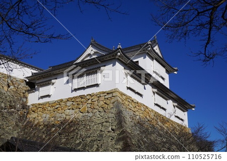 岡山縣津山市櫻花百選之一的鶴山公園(津山城):備中矢倉 岡山縣津山市櫻花百選之一的鶴山公園(津山城):備中矢倉 110525716