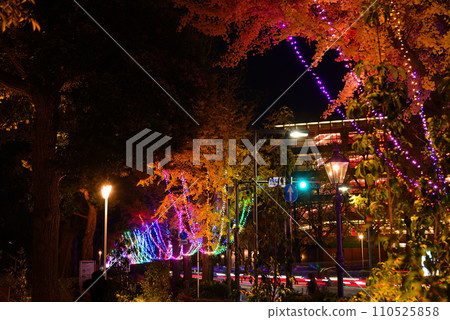 Yokohama Christmas Illumination 110525858