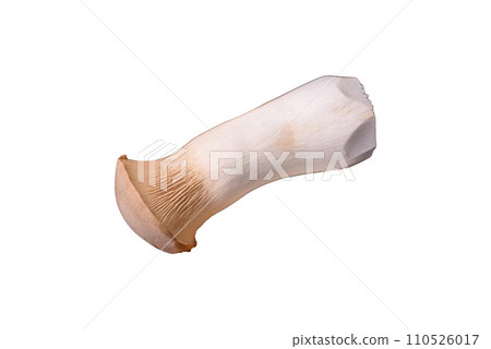 Pleurotus eryngii mushrooms on a dark concrete background Pleurotus eryngii mushrooms on a dark concrete background 110526017