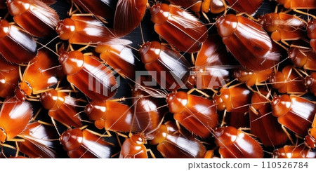 Seamless texture pattern and background of pile of cockroaches. Insectophobia, Blattophobia and blattoptera concept. Blattopterologist, Dictyopterology. AI Seamless texture pattern and background of pile of cockroaches. Insectophobia, Blattophobia and blattoptera concept. Blattopterologist, Dictyopterology. AI 110526784