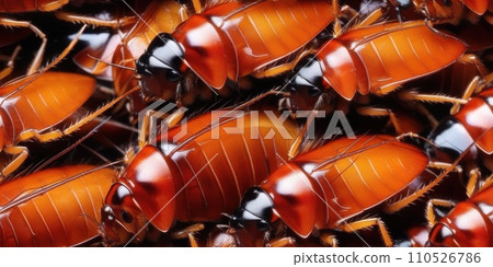 Seamless texture pattern and background of pile of cockroaches. Insectophobia, Blattophobia and blattoptera concept. Blattopterologist, Dictyopterology. AI Seamless texture pattern and background of pile of cockroaches. Insectophobia, Blattophobia and blattoptera concept. Blattopterologist, Dictyopterology. AI 110526786