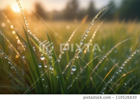 Bright background of shiny dew drops on spring green grass. AI Bright background of shiny dew drops on spring green grass. AI 110526830