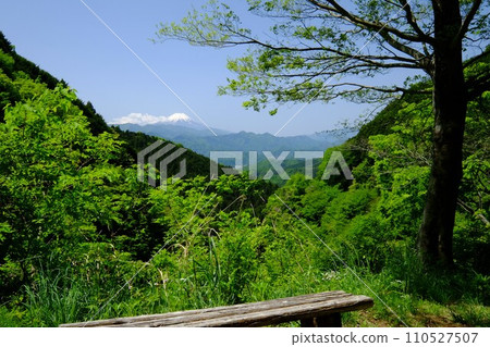 Mt. Fuji with remaining snow seen from the fresh green Jinba Kaido [Tsukui, Sagamihara City, May] 110527507