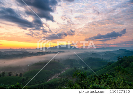 Sunrise on Long Coc tea hill, Phu Tho province, Vietnam. Sunrise on Long Coc tea hill, Phu Tho province, Vietnam. 110527530
