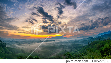 Sunrise on Long Coc tea hill, Phu Tho province, Vietnam. 110527532