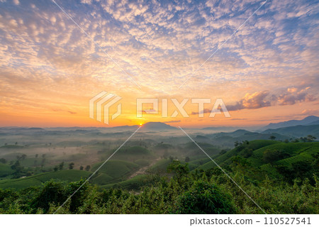 Sunrise on Long Coc tea hill, Phu Tho province, Vietnam. Sunrise on Long Coc tea hill, Phu Tho province, Vietnam. 110527541