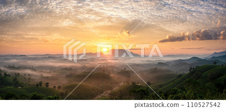 Sunrise on Long Coc tea hill, Phu Tho province, Vietnam. Sunrise on Long Coc tea hill, Phu Tho province, Vietnam. 110527542