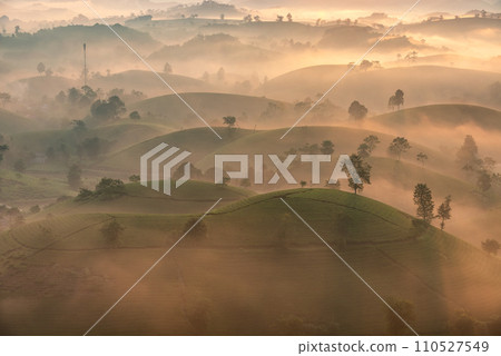 Sunrise on Long Coc tea hill, Phu Tho province, Vietnam. 110527549