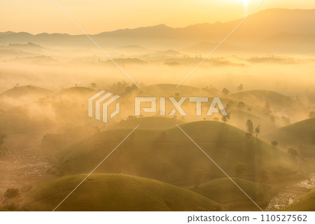 Sunrise on Long Coc tea hill, Phu Tho province, Vietnam. 110527562