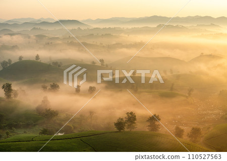 Sunrise on Long Coc tea hill, Phu Tho province, Vietnam. Sunrise on Long Coc tea hill, Phu Tho province, Vietnam. 110527563