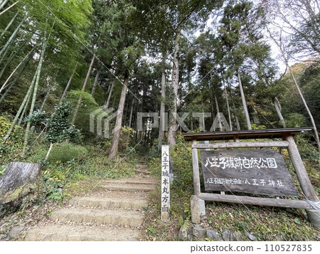 Entrance to the main enclosure site of Hachioji Castle, one of Japan's 100 most famous castles 110527835