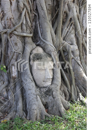 [Thailand] Ayutthaya - Wat Phra Mahathat 110527894
