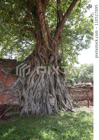 [Thailand] Ayutthaya - Wat Phra Mahathat 110527895