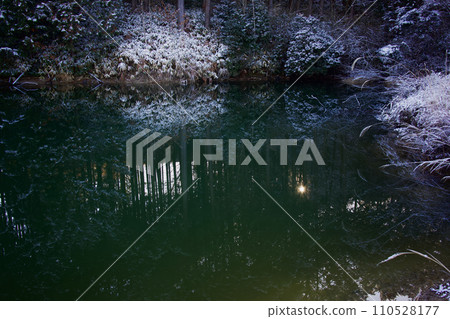 一簇竹葉倒映著湖面的積雪，光芒從下方探出。冬天的風景 110528177